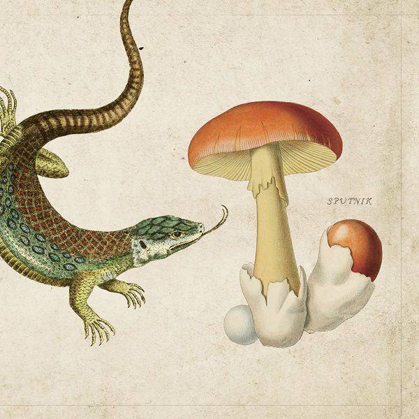 INSHOW-HA 印象派 - Sputnik スプートニク (2021) FLAC