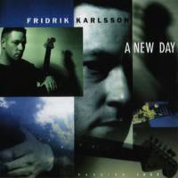 Fridrik Karlsson - A New Day 2000 APE