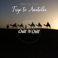 VA - Trip to Anatolia: Chillout Your Mind (2021)