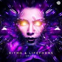 Ritmo & Lifeforms - Orchid EP (Iboga Records 2017)
