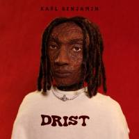 Karl Benjamin - D.R.I.S.T. (2021) FLAC