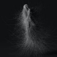 The Drowned God - Pale Home (2021) FLAC