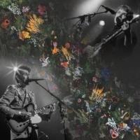 Winterbourne - A Brand New November (Live Recordings) (2021) FLAC