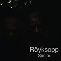 Royksopp - Senior 2010 FLAC