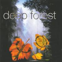 Deep Forest - Boheme 1995 FLAC
