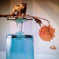 Beirut - Gallipoli 2019 FLAC