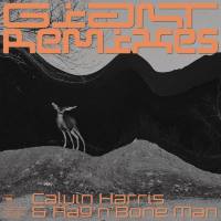 Calvin Harris & Rag'n'Bone Man - Giant [Remixes] (2019) FLAC