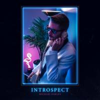 Michael Oakley - Introspect 2019 FLAC