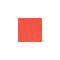 Ritual Howls - Rendered Armor (2019) [FLAC]