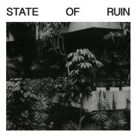 Silk Road Assassins - State Of Ruin (2019)
