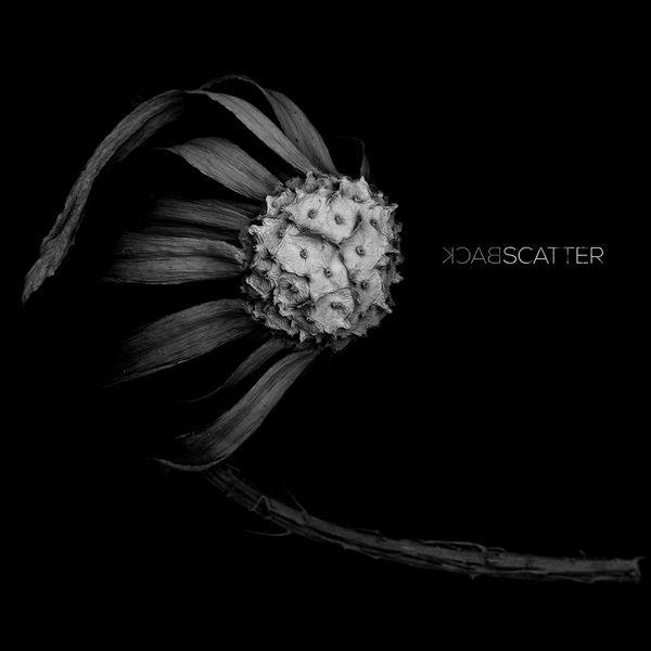 Symbion Project - Backscatter (2019)  FLAC