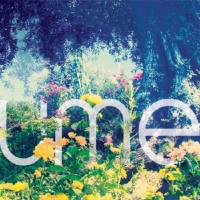 Ume - Sunshower EP (2009) [FLAC]