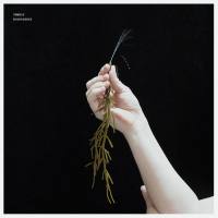 Umwelt - Ecopoiesis (2019)  FLAC