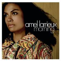 Amel Larrieux - Morning 2006 FLAC