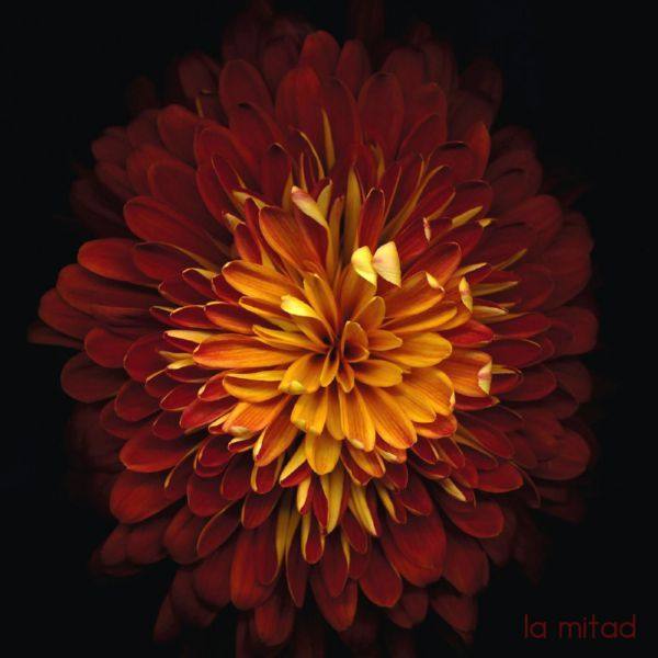 Paper Beat Scissors - La Mitad (2021) Hi-Res