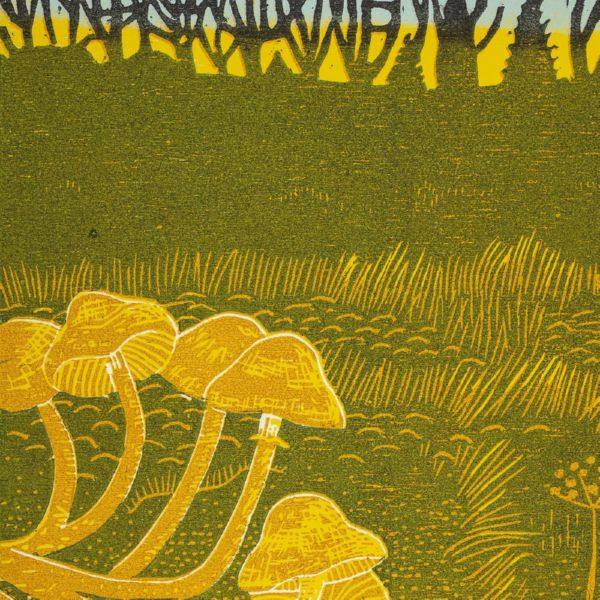 Rural Tapes - Rural Tapes (2021) FLAC