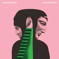Teenage Fanclub - Endless Arcade 2021 Hi-Res