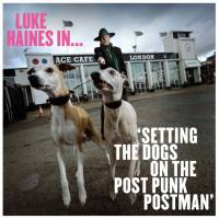 Luke Haines - Setting The Dogs On The Post Punk Postman FLAC