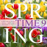 VA - Spring Time, Vol. 9 - 18 Premium Trax Chillout, Chillhouse, Downbeat, Lounge 2021 FLAC