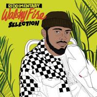 Walshy Fire - Walshy Fire: Riddimentary Selection (2021) [Hi-Res]