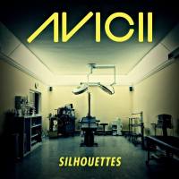 Avicii feat. Salem Al Fakir - Silhouettes 2012-04-27 FLAC