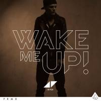 Avicii - Wake Me Up 2013-07-12 FLAC