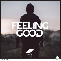 Avicii - Feeling Good 2015-05-06 FLAC