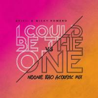 Avicii vs. Nicky Romero - I Could Be The One (Noonie Bao Acoustic Mix) 2013 FLAC