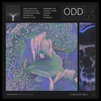 VA - ODD Pleasures Compilation Vol.1