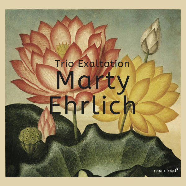 Marty Ehrlich - Trio Exaltation ()2018 [FLAC]