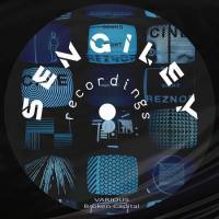 VA - Broken Capital 2021 FLAC