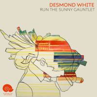 Desmond White - Run the Sunny Gauntlet (2021) FLAC