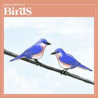 Sam Hawksley - Birds (2021) FLAC