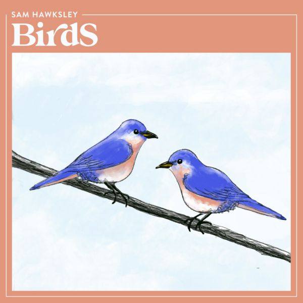 Sam Hawksley - Birds (2021) FLAC