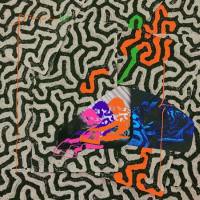 Animal Collective - Tangerine Reef (2018) FLAC