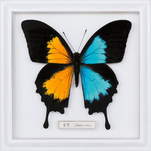 FLOW - Neiro _ Break It Down [FLAC]