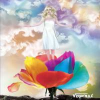 Journal - 2018 - Chrysalis Ordalias (FLAC)