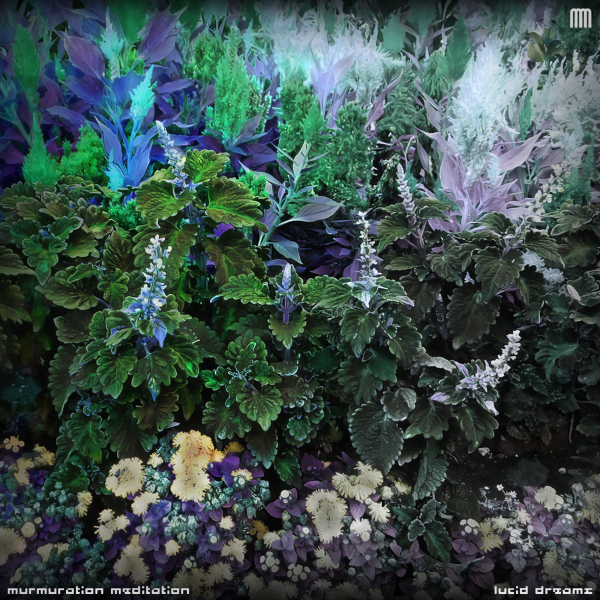 Murmuration Meditation - Lucid Dreams (2018) flac
