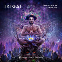 VA - Ikigai (2018) FLAC