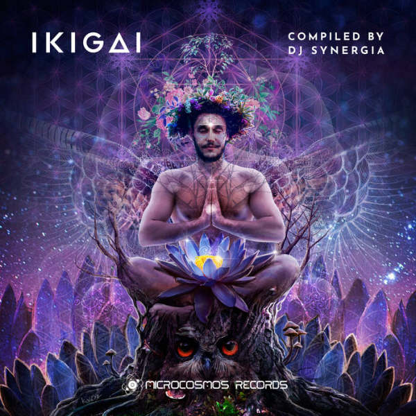 VA - Ikigai (2018) FLAC