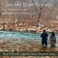Jim Townsend - Cross the River Bravely (2021) FLAC