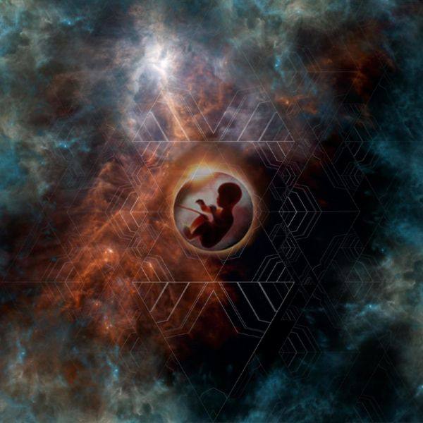 Latch Key Kid - Fade In The Light (2021) FLAC