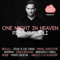 VA - One Night In Heaven, Vol. 13 2016 FLAC