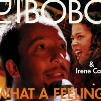 DJ Bobo - What A Feeling  2001 FLAC