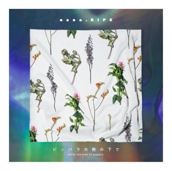 nano.RIPE - Pippara no ki no shita de (2018) Hi-Res