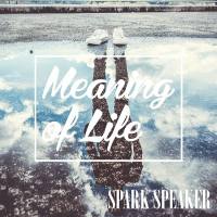 SPARK SPEAKER - Meaning of Life (2018) [FLAC]