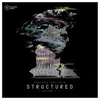 VA - Voltaire Music Pres. Structured, Vol. 7