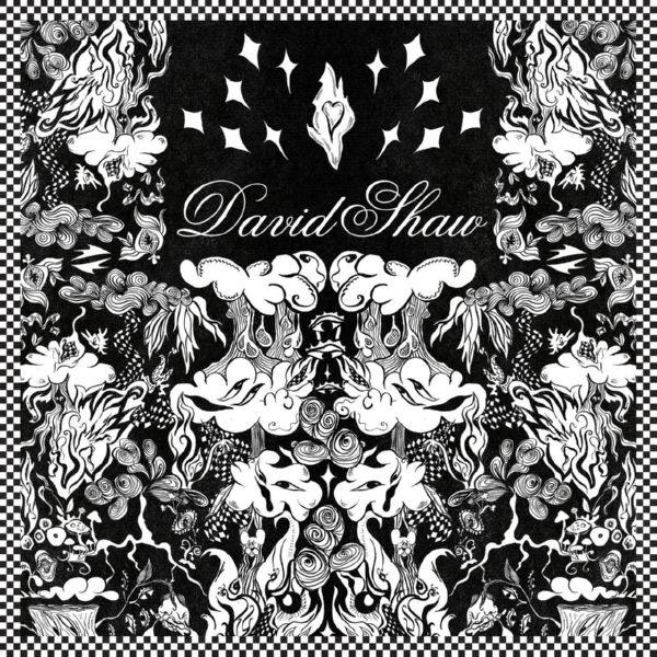 David Shaw - David Shaw (2021) FLAC