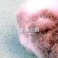 Ryogo Yamamori - Moringa - The Miracle Plant (2018) FLAC