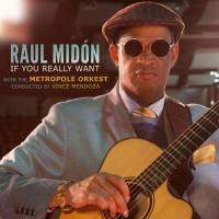 Raul Midon - 2018 - If You Really Want (FLAC)